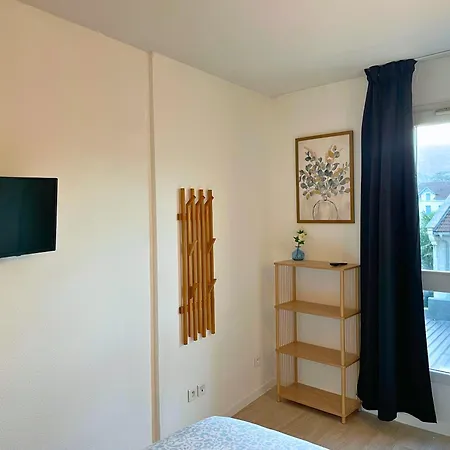 Apartment Taniere Bleue - Offer - Clim - Wifi Lourdes