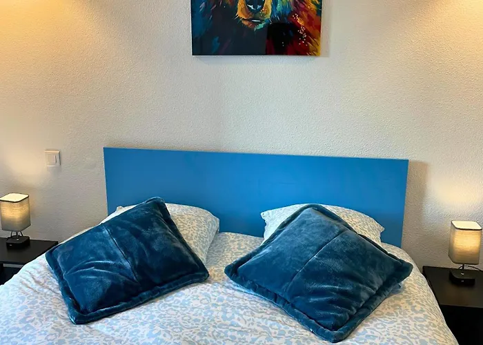 Apartment Taniere Bleue - Offer - Clim - Wifi Lourdes